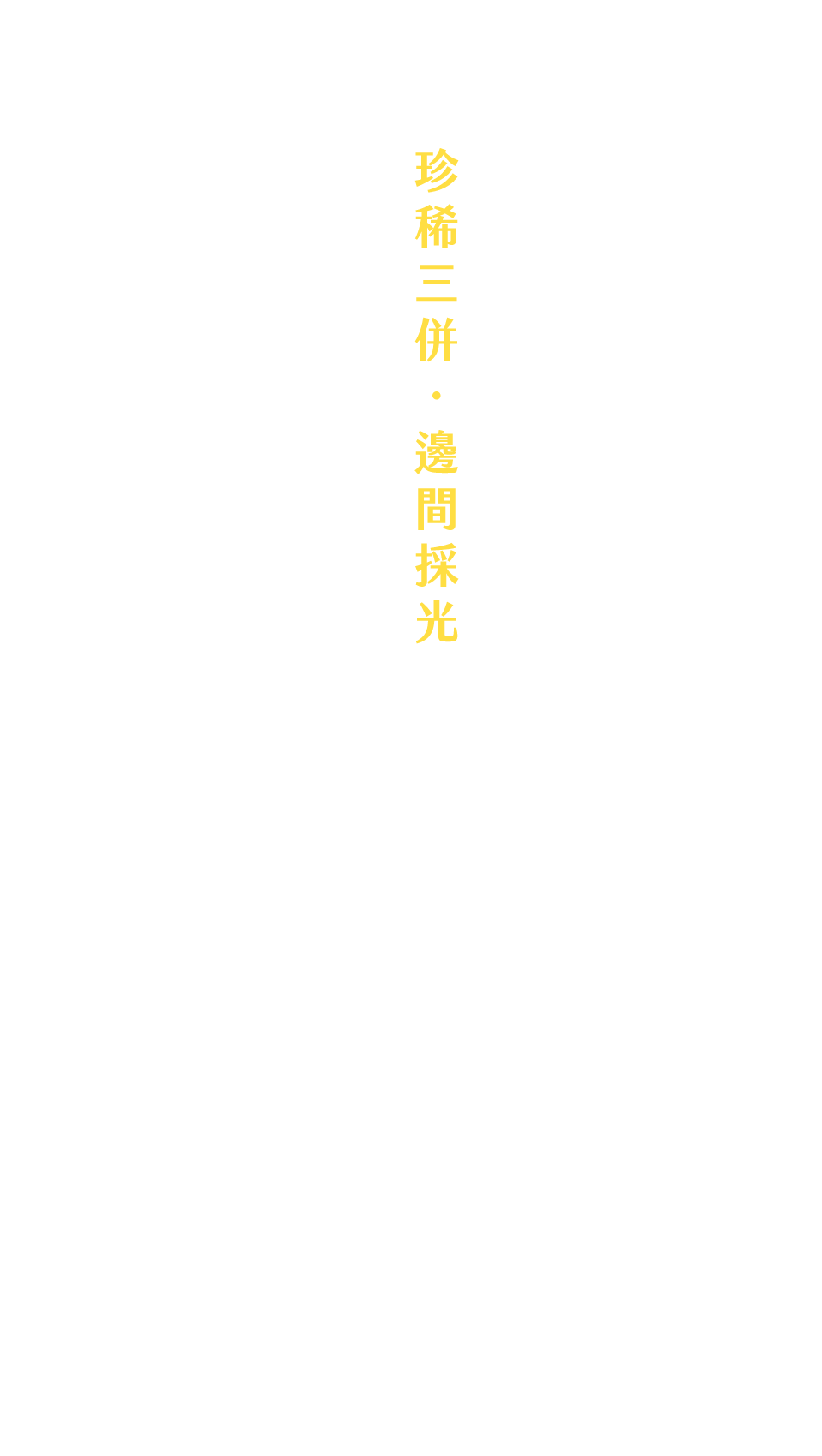 珍稀三併．邊間採光